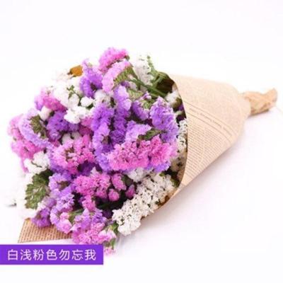 三维工匠云南干花花束勿忘我情人草水晶花组合满天星客厅真花插花家居摆设浅紫粉白45cm50支