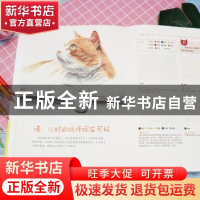 正版 彩铅完全自学入门教程:我是猫 陈晓杰主编 江苏凤凰科学技术