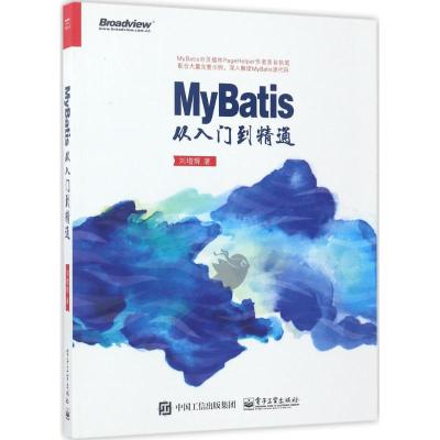 MyBatis从入门到精通