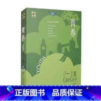 [正版]青春 J.M.库切 著 小说