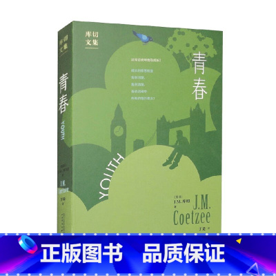 [正版]青春 J.M.库切 著 小说