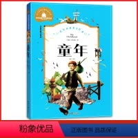 [正版]全新 童年 儿童彩图注音版 一二三年级学校课外阅读书 世界经典儿童文学少儿名著童话故事书