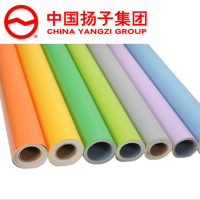 扬子(YANGZI)舞蹈教室专用地胶地垫YZ-GMDJ002