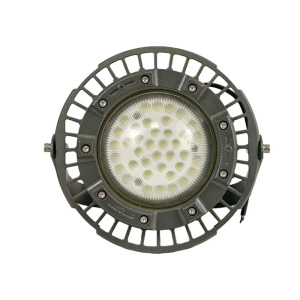 OHUIZAOMIN LED防爆灯 OHBF8236-100W(含安装) 个