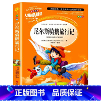 尼尔斯骑鹅旅行记 [正版]绿野仙踪三四年级课外书必读老师的快乐读书吧木偶奇遇记二年级上册下册课外阅读书籍秘密花园绿山墙的