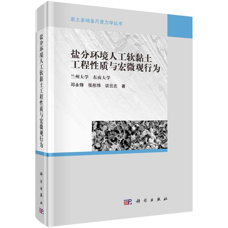 醉染图书盐分环境人工软黏土工程质与宏微观行为9787030690814