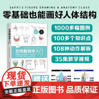 艺用解剖学入门 李瑞恩(韩)著 王子衿主译 零基础也能画好人体结构 专为绘画零基础学习者打造的人体绘画解剖学指南