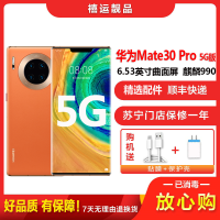 [二手95成新]华为Mate30 Pro 5G 丹霞橙 8G+128G全网通安卓手机6.53英寸曲面屏麒麟9905G手机