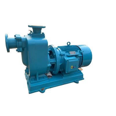 鑫睿辉 直联式管道污水离心泵 380V 50ZW10-20 台