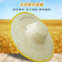 贝傅特 草帽 大草帽檐夏防晒遮阳工地工用帽子大沿农民男女编织帽优质麦秆帽 优质麦秆包边40cm