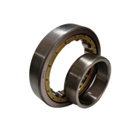 SKSM圆柱滚子轴承NU313