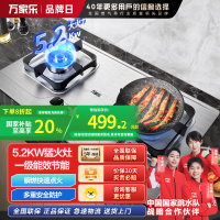 万家乐AY8G聚能猛火燃气双灶家用 5.2KW快速点火 3D立体加热 一级能效全进风 天然气