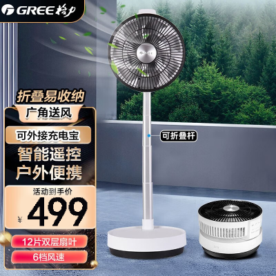 格力(GREE)空气循环扇家用智能遥控户外野餐便携电风扇可折叠落地扇直流变频风扇台式立式桌面轻音 FSZ-2301Bg7