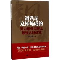 正版新书]钢铁是这样炼成的:努力建设世界上不错大的政党朱亮高