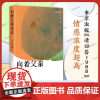 向着父亲走去 《请照顾好我妈妈》作者 韩国重量级作家申京淑新作 女儿给沉默父亲的深情告白 明亮的夜晚崔恩荣外国小说新星出