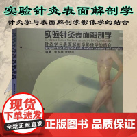 实验针灸表面解剖学 针灸学与表面解剖学影像学的结合针灸疗法穴位人体解剖学黄龙祥黄幼民腧穴名称与定位中医针灸腧穴书籍人卫版