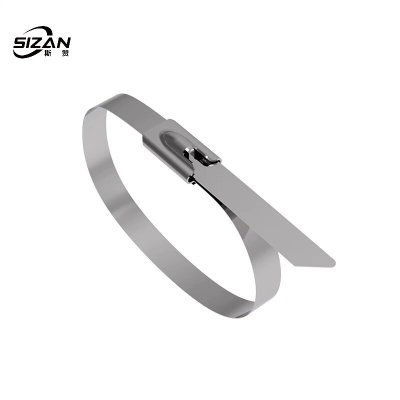 斯赞 304不锈钢扎带自锁式捆绑扎带 16*2700mm 100条/包