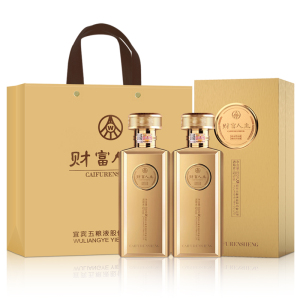 五粮液股份 财富人生金砖 52度500ml*2瓶装 浓香型纯粮食白酒礼盒 送礼宴请