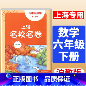 6年级下 数学 大字版 初中通用 [正版]2024春季上海名校名卷六年级七八九上册下册数学语文英语物理化学沪教版华东师大