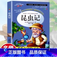 昆虫记 [正版]昆虫记 美绘版 原著完整版法布尔著全集小学生三四年级下册必读的课外书老师美绘少儿版人民儿童文学教育阅读书