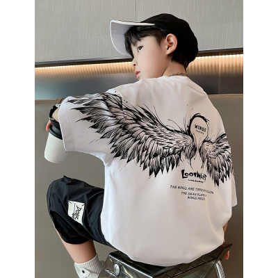 童装男童夏装T恤2025新款男孩夏季上衣儿童短袖夏款中大童潮T