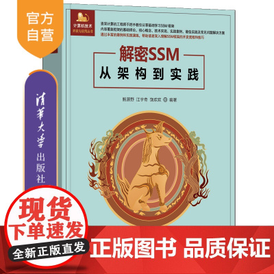 [正版新书]解密SSM——从架构到实践 鲍源野、江宇奇、饶欢欢 清华大学出版社 科技