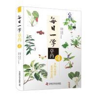 正版新书]每日一学草药(4)曾培杰 著,汪雪美 整理,甘金宝 整理97