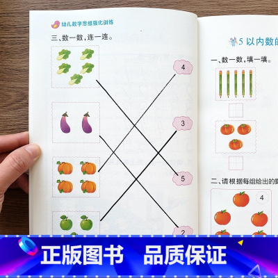 数学思维训练2+3[2本套餐] [正版]儿童数学思维训练3-6岁幼儿园小班学数学加减法5以内的数的分解与组成中班大班认数