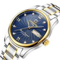 瑞士嘉年华Carnival正品新款手表全自动机械表 男表休闲时尚镶钻间金双日历手表男士防水金属腕表男士表8671