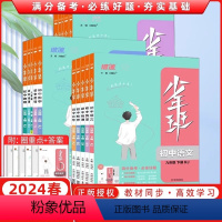 [语文+数学 +物理+化学]人教4本套装 九年级上 [正版]2024版少年班七八九年级上册下册数学语文英语物理化学政治历