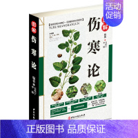 [正版]全彩图解伤寒论 解伤寒杂病论张仲景中医养生四大名著经典书籍保健养生中医入门级书 金匮要略温病条辨千金方本草 97