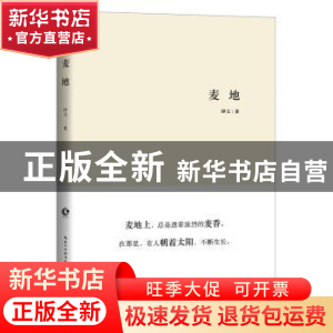 正版 麦地 钟文著 长江文艺出版社 9787570205530 书籍