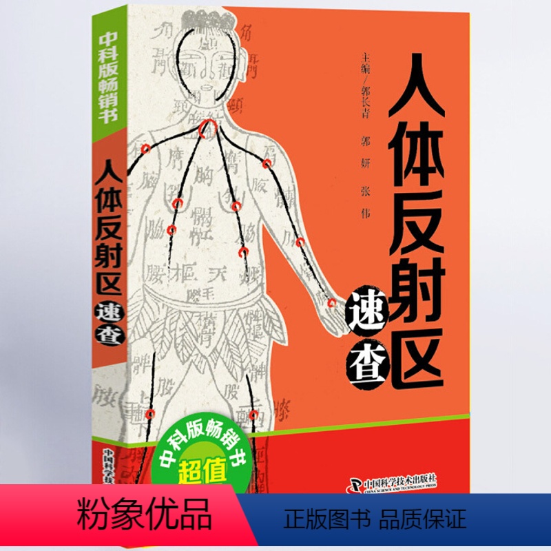 [正版] 人体反射区速查 彩图版 中医基础理论 实用中医速查宝典系列工具书大全资料 头面耳手足部反射区疗法神经穴位图解