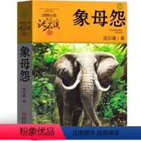 象母怨 [正版]象母怨 沈石溪动物小说精品集系列儿童文学小学生课外书长篇单本作品全集珍藏版品藏书系大王升级版三四五六年级
