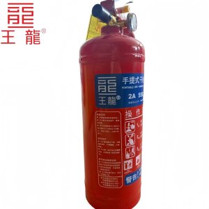 王龍 手提式干粉灭火器 2千克 新国标 具