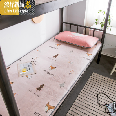 2020北欧新款喵星人ins风印花学生竹席枕头两件套宿舍冰丝凉席 三维工匠