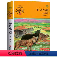 五只小狼 [正版]完整版五只小狼全本沈石溪的图书籍动物小说大王品藏系列小学生四五六年级儿童文学作品珍藏全集1全套单本一新