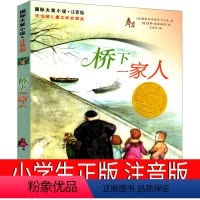 桥下一家人 [正版]桥下一家人注音版二年级三年级四年级一年级必读课外书新蕾出版社国际大奖儿童文学小说卡尔森著小学生阅读书