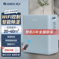 格力((GREE)除湿机客厅抽湿机 低噪干衣智控除湿器吸湿器 小档案室干燥机20升/天 WIFI版 DH20EOA1A