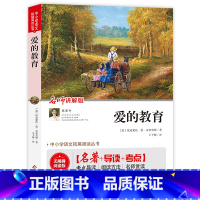爱的教育 [正版](全本无删减)爱的教育(视频讲解版)中小学生课外阅读书籍儿童文学世界名著 无障碍阅读 考点导读+阅读方