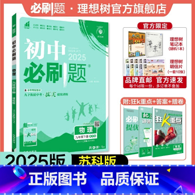 物理 SK 九年级下 [正版]理想树2025版初中必刷题九年级下册物理苏科版SK初三必刷题同步练习中考复习资料模拟题辅导