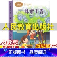 一株紫丁香 [正版]一株紫丁香二年级下册课外书滕毓旭著彩图注音版人民教育出版社人教版语文配套阅读王林主编课文作家作品系列