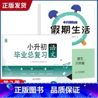 小升初+假期作业[语文] 小学升初中 [正版]2023小升初系统总复习真题卷必刷题人教版复习资料模拟试卷小学毕业总复习冲