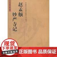 正版 中国历代名碑名帖放大本系列—赵孟頫妙严寺记 吴岳 碑帖书法临摹书籍 河南美术