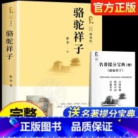骆驼祥子[完整版赠考点] [正版]老师赠考点 海底两万里 书原著完整版无删减 七年级下册必读名著课外书初一课外阅读书籍小