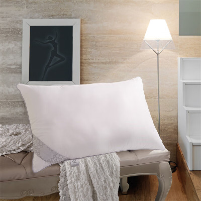 水星家纺枕头 枕芯颈椎枕舒适枕DH 74cm×48cm/只 DH沁新抗菌枕