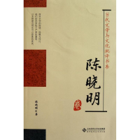 音像陈晓明卷/当代文学与文化批评书系陈晓明