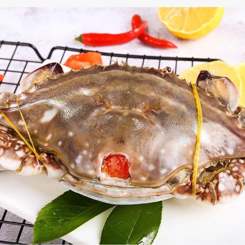 红膏炝蟹醉蟹红膏梭子蟹宁波海鲜特产海鲜腌制螃蟹即食 红膏炝蟹6-8两