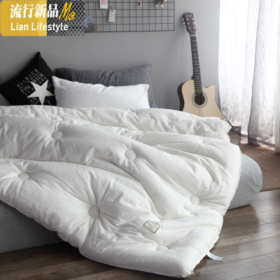 简约棉保暖冬被单双人被芯水洗棉春秋被1.5米2m2.2米 三维工匠被子