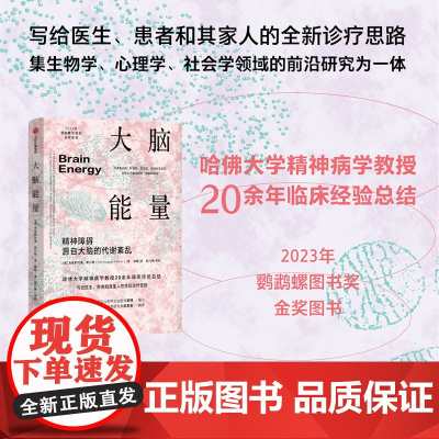 大脑能量 克里斯托弗·帕尔默 著 哈佛关学精神病学教授20余年临床经验总结 写给医生患者和其家人的新诊疗思路 中信